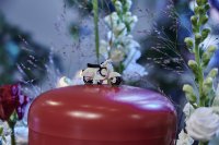 ein Bild aus dem Album